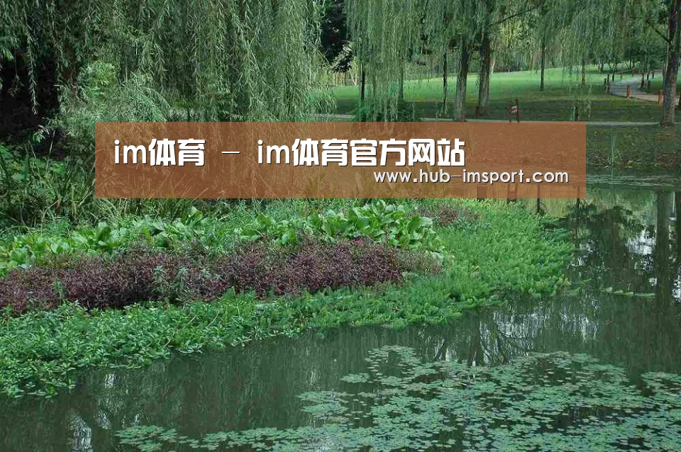 案例展示一(图1)