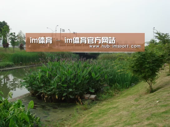 案例展示四(图1)