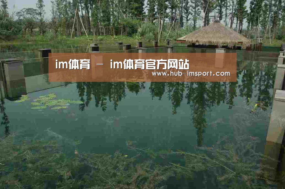 案例展示二(图1)