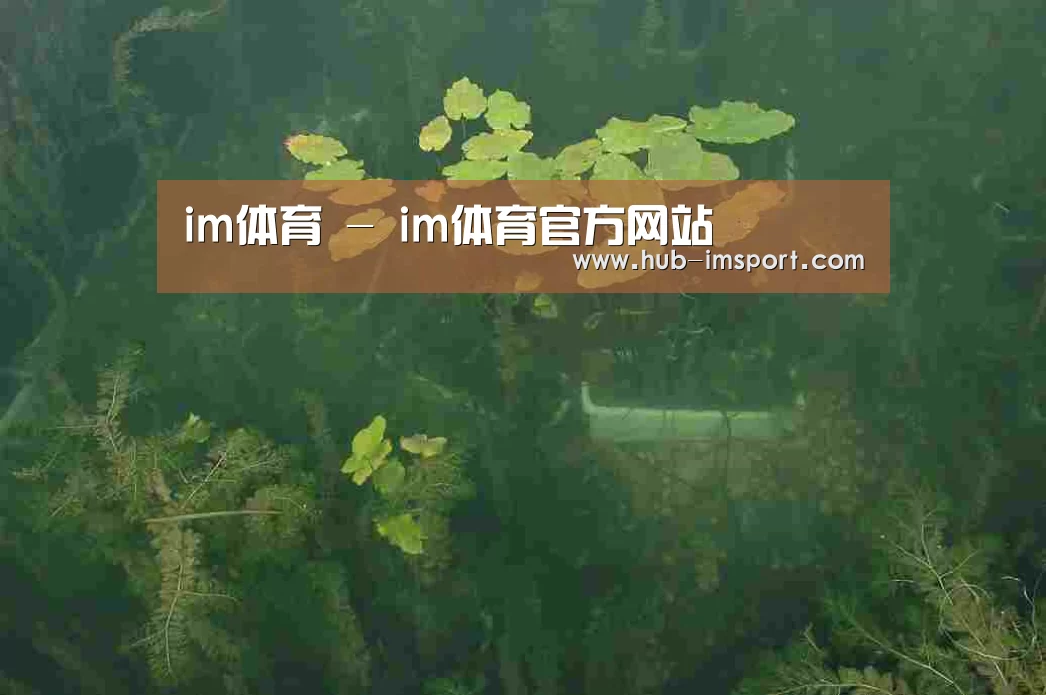 案例展示三(图1)