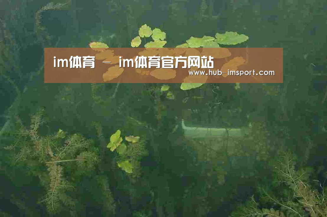 案例展示三