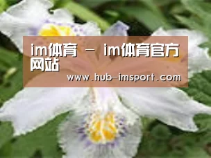 产品名称二