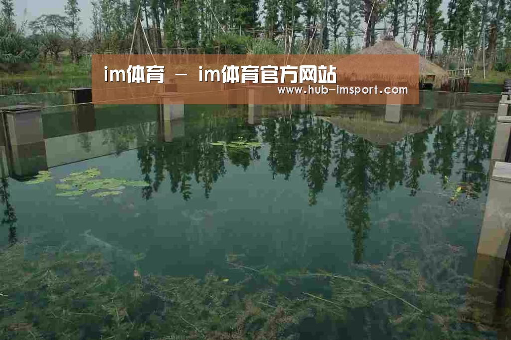 案例展示二