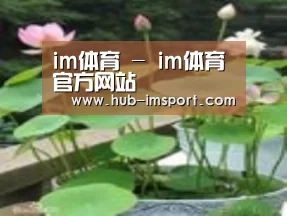 产品名称一