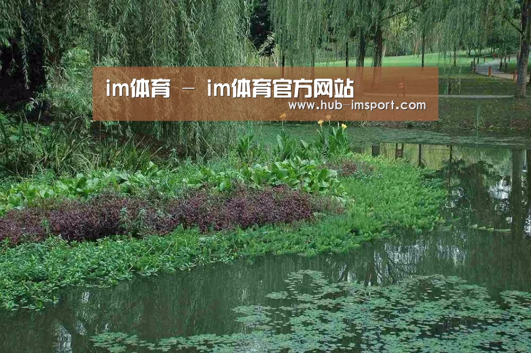 案例展示一