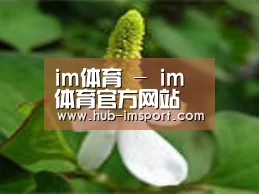 产品名称三