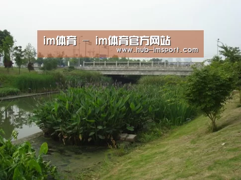 案例展示四