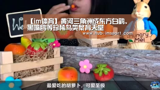 【im体育】黄河三角洲成东方白鹳、黑嘴鸥等珍稀鸟类繁育天堂