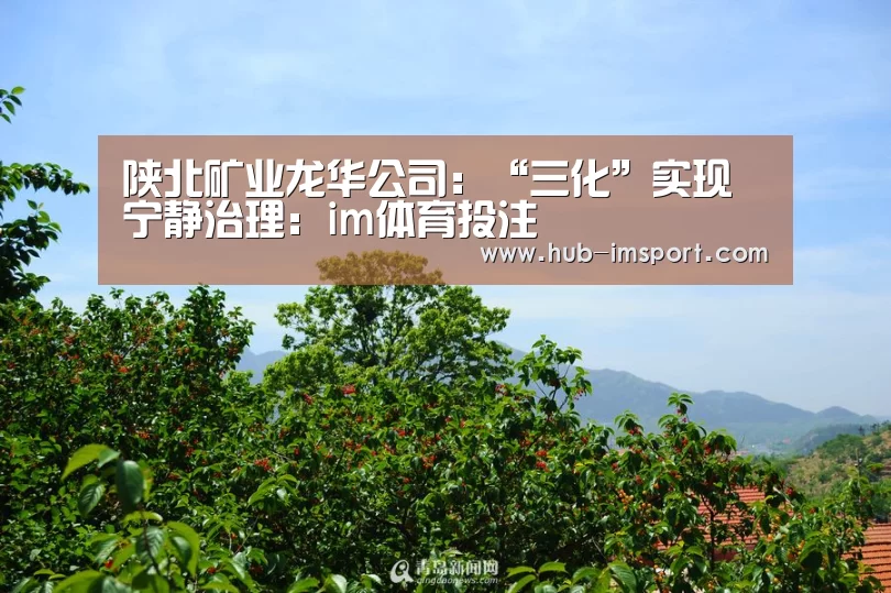 陕北矿业龙华公司:“三化”实现宁静治理:im体育投注(图4) im体育