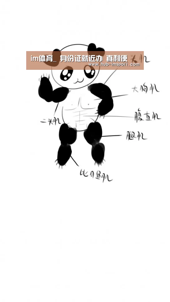 im体育官网