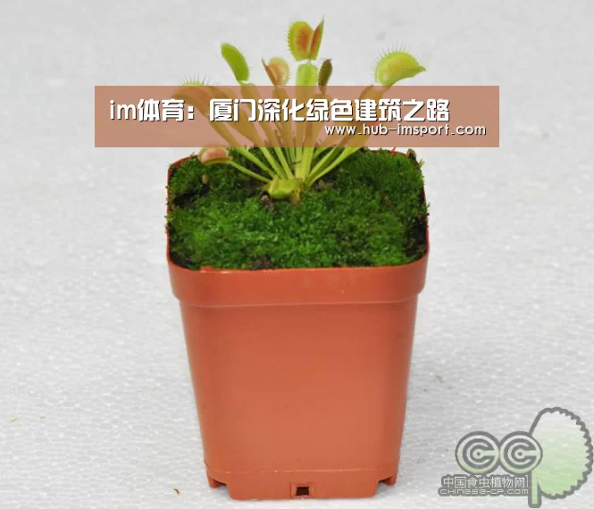 im体育:厦门深化绿色建筑之路(图1) im体育投注